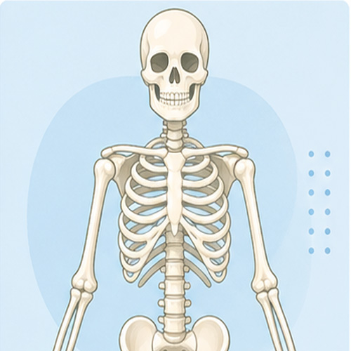 Orthopedic Surgery