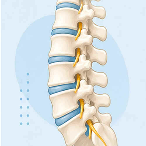 Spine Surgery